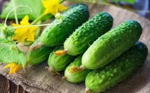 娱乐吃瓜姜,揭秘娱乐圈背后的那些事儿