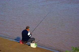 娱乐吃瓜钓鱼视频大全下载,一键下载收藏！