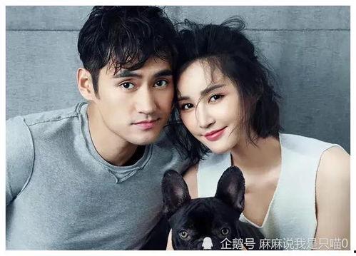 因为吃瓜爆红娱乐圈,从吃瓜爆红到娱乐圈的璀璨新星